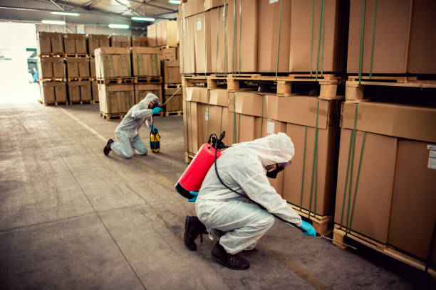 Reliable Gilmer, TX Pest Control Solutions