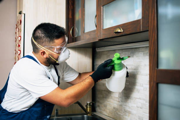 Best Pest Inspection Near Me  in Gilmer, TX