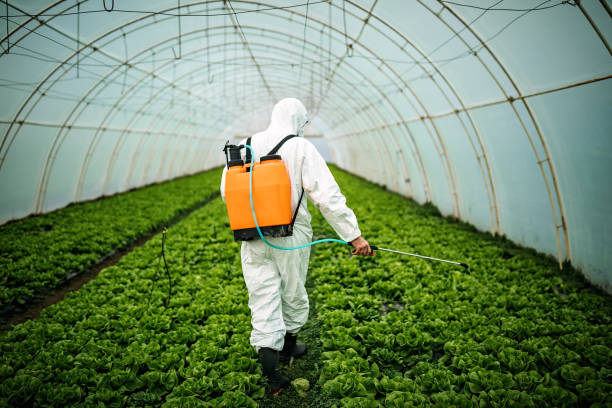 Best Affordable Pest Control Services  in Gilmer, TX