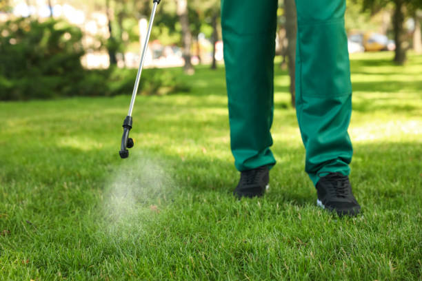 Best Residential Pest Control  in Gilmer, TX