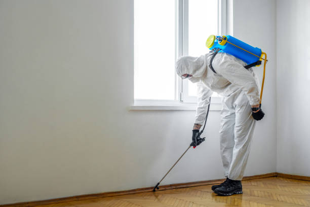 Best Best Pest Control Companies  in Gilmer, TX