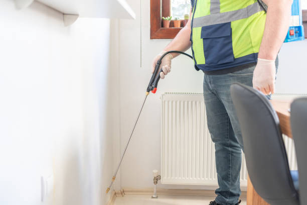 Best Wasp Removal Services  in Gilmer, TX