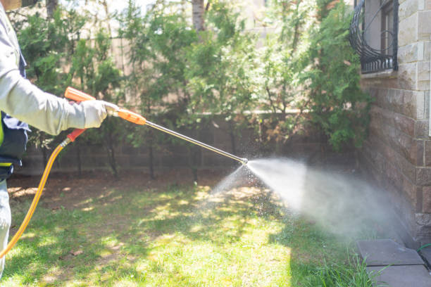 Best Affordable Pest Control Services  in Gilmer, TX