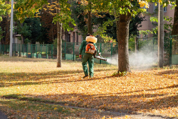 Best Residential Pest Control  in Gilmer, TX